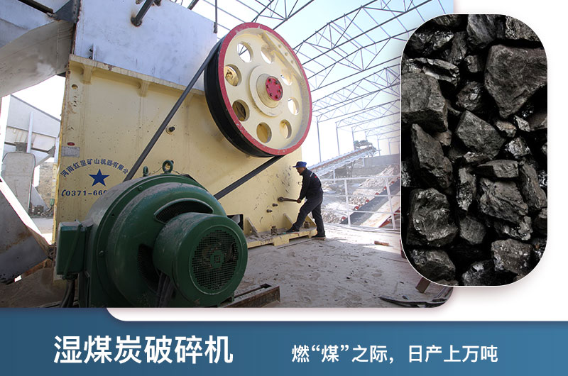 濕煤破碎機 濕煤破碎機